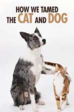 Watch How We Tamed the Cat and Dog Freemovieswatch