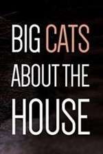 Watch Big Cats About the House Freemovieswatch