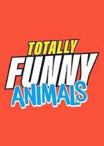 Watch Totally Funny Animals Freemovieswatch