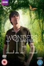 Watch Wonders Of Life Freemovieswatch
