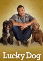 Watch Lucky Dog Freemovieswatch