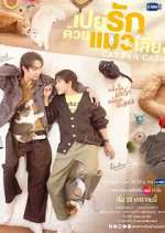 Watch Cat for Cash Freemovieswatch