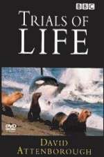 Watch The Trials of Life Freemovieswatch