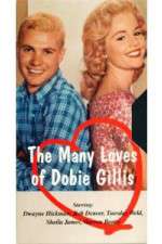 Watch The Many Loves of Dobie Gillis Freemovieswatch