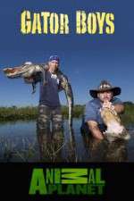Watch Gator Boys Freemovieswatch