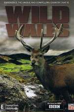 Watch Wild Wales Freemovieswatch