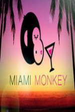 Watch Miami Monkey Freemovieswatch