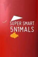 Watch Super Smart Animals Freemovieswatch