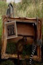 Watch Anna's Wild Life Freemovieswatch