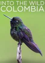 Watch Into the Wild Colombia Freemovieswatch