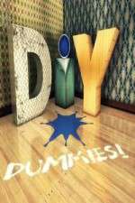 Watch DIY Dummies Freemovieswatch
