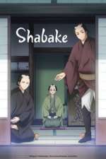 Watch Shabake Freemovieswatch