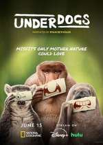 Watch Underdogs Freemovieswatch