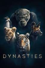 Watch Dynasties Freemovieswatch