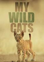Watch My Wild Cats Freemovieswatch