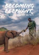Watch Becoming Elephant: The Orphans Of Reteti Freemovieswatch