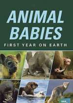 Watch Animal Babies: First Year on Earth Freemovieswatch