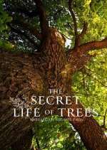 Watch The Secret Life of Trees Freemovieswatch