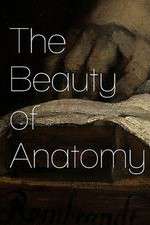 Watch The Beauty of Anatomy Freemovieswatch