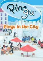 Watch Pingu in the City Freemovieswatch