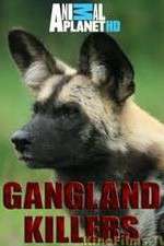 Watch Gangland Killers Freemovieswatch
