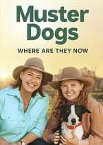 Watch Muster Dogs: Where Are They Now? Freemovieswatch