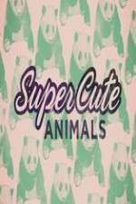 Watch Super Cute Animals Freemovieswatch