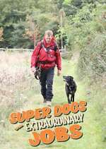 Watch Super Dogs with Extraordinary Jobs Freemovieswatch