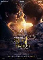Watch Lost in the Woods Freemovieswatch