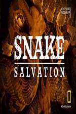 Watch Snake Salvation Freemovieswatch