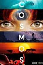 Watch Cosmos A SpaceTime Odyssey Freemovieswatch