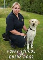 Watch Puppy School for Guide Dogs Freemovieswatch