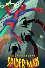 Watch The Spectacular Spider-Man Freemovieswatch