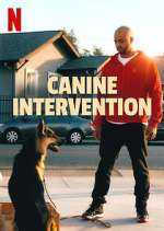 Watch Canine Intervention Freemovieswatch