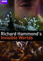 Watch Richard Hammond's Invisible Worlds Freemovieswatch