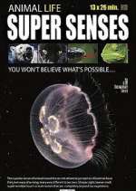 Watch Super Senses Freemovieswatch