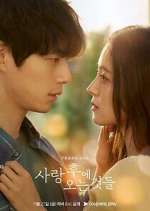 Watch What Comes After Love Freemovieswatch