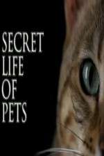 Watch The Secret Life of Pets Freemovieswatch