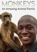 Watch Monkeys: An Amazing Animal Family Freemovieswatch