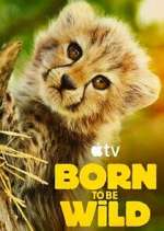 Watch Born to Be Wild Freemovieswatch