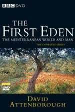 Watch The First Eden Freemovieswatch