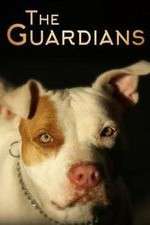 Watch The Guardians Freemovieswatch