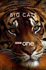 Watch Big Cats Freemovieswatch