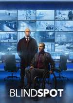 Watch Blindspot Freemovieswatch