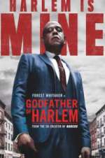 Watch Godfather of Harlem Freemovieswatch