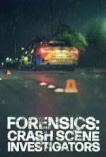 Watch Forensics: Crash Scene Investigators Freemovieswatch