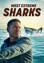 Watch Most Extreme Sharks Freemovieswatch