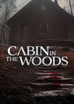 Watch Cabin in the Woods Freemovieswatch