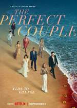Watch The Perfect Couple Freemovieswatch