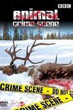 Watch Animal Crime Scene Freemovieswatch
